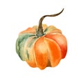 Pumpkin watercolor illustration isolated on white background.