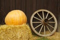 Pumpkin and the Wheel.