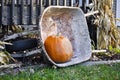 Pumpkin wheelbarrow