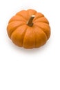 Pumpkin on white