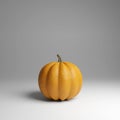 A Pumpkin on white background, 3d rendering