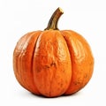 Rust Pumpkin: Suburban Ennui Capturer In Frogcore Hatecore Style Royalty Free Stock Photo