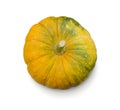 Pumpkin on white background