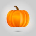 Pumpkin on white background