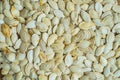 Pumpkin white seeds background