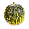 Pumpkin whole round color