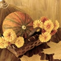 Pumpkin in a wicker basket with flowers and dry leaves Royalty Free Stock Photo