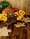 Pumpkin in a wicker basket with flowers, rowan and dry leaves Royalty Free Stock Photo