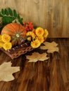 Pumpkin in a wicker basket with flowers, rowan and dry leaves Royalty Free Stock Photo