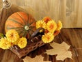 Pumpkin in a wicker basket with flowers, rowan and dry leaves Royalty Free Stock Photo