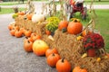 Pumpkin Winter Squash Hay Bale