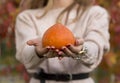 Pumpkin in woman hand out door