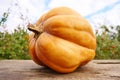 Pumpkin on a wooden table in the garden