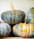 Pumpkin on the wooden table. Harvest pumpkins from the garden. The concept of autumn, Halloween, harvest Royalty Free Stock Photo