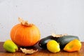 Pumpkin, zucchini, bell peppers and oak leaves on wooden table on concrete wall background. Autumn harvest composition Royalty Free Stock Photo