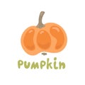 Pumpking vegetable health icon vector illustration design. Doodle font.