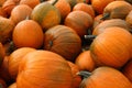 Pumpkins Royalty Free Stock Photo