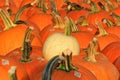 Pumpkins Royalty Free Stock Photo