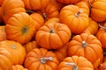 Pumpkins Royalty Free Stock Photo
