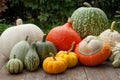 Pumpkins Royalty Free Stock Photo
