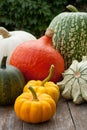 Pumpkins Royalty Free Stock Photo