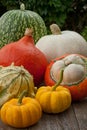 Pumpkins Royalty Free Stock Photo
