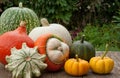 Pumpkins Royalty Free Stock Photo