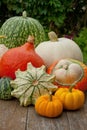 Pumpkins Royalty Free Stock Photo