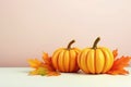 Pumpkins Accompanied By Fall Leaves, Presenting Classic Autumn Scene