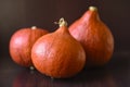 Pumpkins against light glassn background for copy space