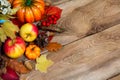 Pumpkins, apples, berries, pine cones, acorn and leaves Royalty Free Stock Photo