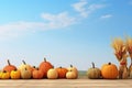 Pumpkins, Apples, And Corncobs On Wooden Table Under Clear Sky, Setting The Stage For Thanksgiving Royalty Free Stock Photo