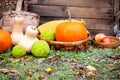 Pumpkins, apples, macula fruit, basket and wooden box