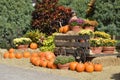 Pumpkins around am old farm wagon Royalty Free Stock Photo