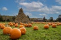 Pumpkins arranged on grass field in front of old red barn and corn stalks under blue cloudy sky Royalty Free Stock Photo