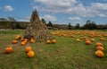 Pumpkins arranged on grass field in front of old red barn and corn stalks under blue cloudy sky Royalty Free Stock Photo