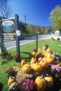 Pumpkins and Autumn flower arrangement along Scenic Route 100, VT