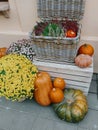 Pumpkins and autumn flowers in baskets on wooden boxes, rustic modern decor of city street in fall. Happy Thanksgiving and