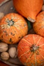 Pumpkins autumn Halloween orange mood Royalty Free Stock Photo