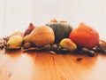 Pumpkins, autumn leaves, apples, pears, corn, nuts and chestnuts on wooden rustic table on background of window. Happy Royalty Free Stock Photo