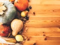 Pumpkins, autumn leaves, apples, pears, corn, nuts and chestnuts on wooden rustic table. Flat lay with space for text. Happy Royalty Free Stock Photo