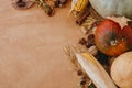 Pumpkins, autumn leaves, corn, walnuts,chestnuts,acorns border on rustic wooden table with space for text. Happy Thanksgiving. Royalty Free Stock Photo