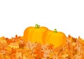 Pumpkins on autumn leaves flat vector illustration Royalty Free Stock Photo