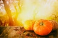 Pumpkins and autumn leaves on wooden table. thanksgiving and halloween concept