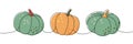 Pumpkins. Autumn pumpkins one line colored continuous drawing. Autumn halloween vegetables continuous one line