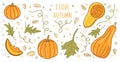 Pumpkins autumn set with leaves and seeds in color isolated on a white background for thanksgiving cards, t-shirt design, coloring Royalty Free Stock Photo