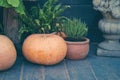 Pumpkins autumnal composition wooden background