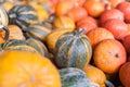 Pumpkins, autumnal harvest, small pumpkin, texture or autumn background