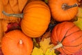 Pumpkins, autumnal maple leaves and pullover on wooden background.