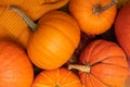 Pumpkins, autumnal maple leaves and pullover on wooden background.